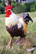 New Rooster Garden Statue – Indoor & Outdoor Decorative Farmhouse Figure B148734B - with | Sold by Uncle Wiener's Wholesale