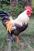 New Rooster Garden Statue – Indoor & Outdoor Decorative Farmhouse Figure B148734B - with | Sold by Uncle Wiener's Wholesale