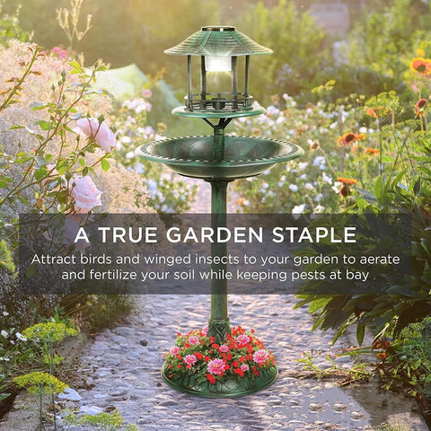 Solar-powered bird bath with flower planter base in the garden

Green freestanding resin birdbath with solar light

Dual-tier outdoor bird bath and planter combo

Eco-friendly garden birdbath with solar LED

Weather-resistant plastic resin solar bird bath S1260S
