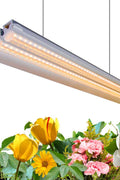 "T5 LED Grow Light 4FT 60W Full Spectrum for Indoor Plants"

"Yellow Red White LED Plant Growing Lamp"

"Full Spectrum 4FT Grow Light for Vegetables and Flowers"

"Energy Efficient T5 LED Grow Light for Seedlings"