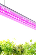 NEW T5 LED Grow Light 4ft Full Spectrum 60W - Yellow, Red & White - with RED & WHITE LED | Sold by Uncle Wiener's Wholesale