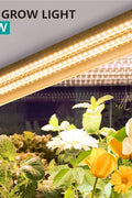 "T5 LED Grow Light 4FT 60W Full Spectrum for Indoor Plants"

"Yellow Red White LED Plant Growing Lamp"

"Full Spectrum 4FT Grow Light for Vegetables and Flowers"

"Energy Efficient T5 LED Grow Light for Seedlings"