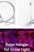 "T5 LED Grow Light 4FT 60W Full Spectrum for Indoor Plants"

"Yellow Red White LED Plant Growing Lamp"

"Full Spectrum 4FT Grow Light for Vegetables and Flowers"

"Energy Efficient T5 LED Grow Light for Seedlings"
