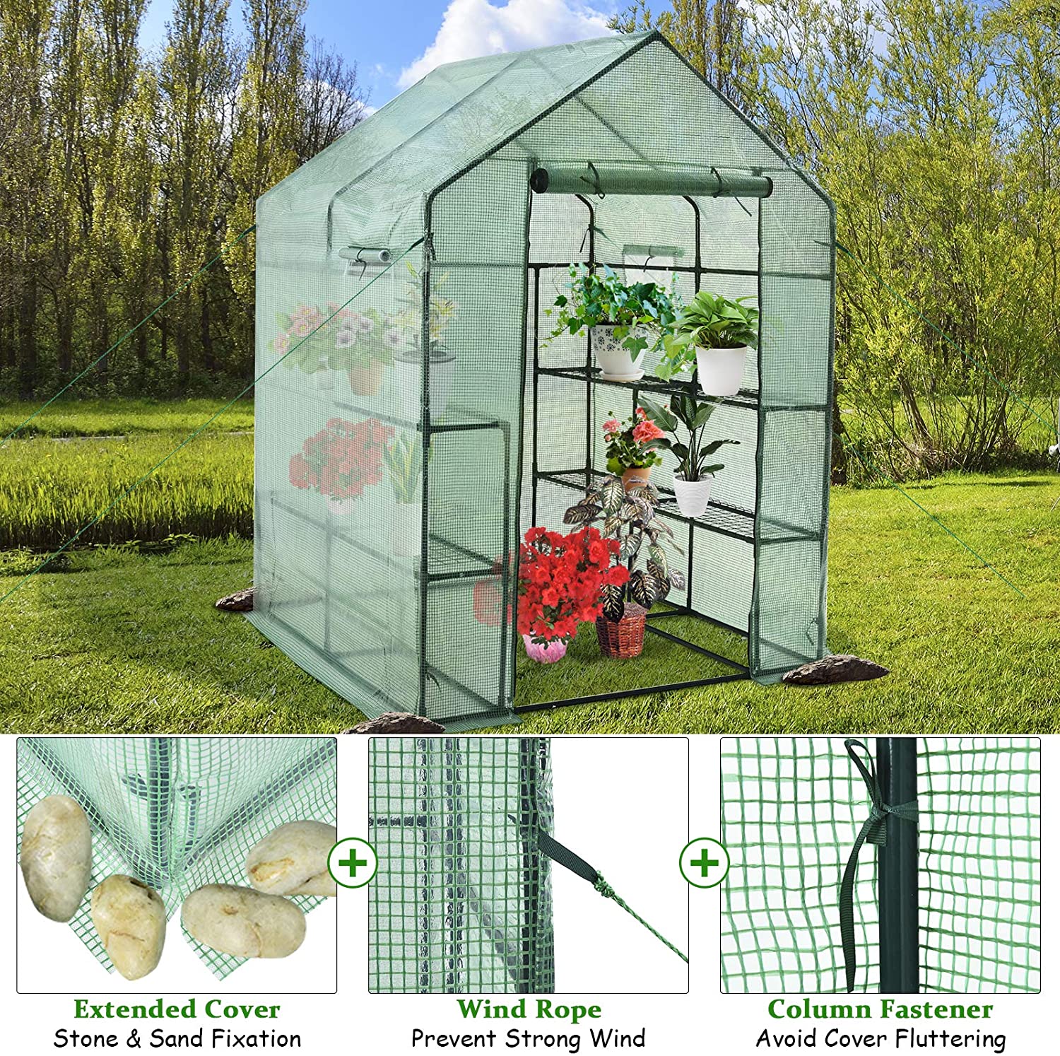 Walk-in roll-up greenhouse with zippered front door
Outdoor greenhouse with wired shelves and green PE cover
Garden greenhouse for patio and balcony setups
Roll-up front entry greenhouse shown outdoors
Compact greenhouse model GC3232 with sturdy shelves
Indoor/outdoor mini greenhouse with UV-resistant cover