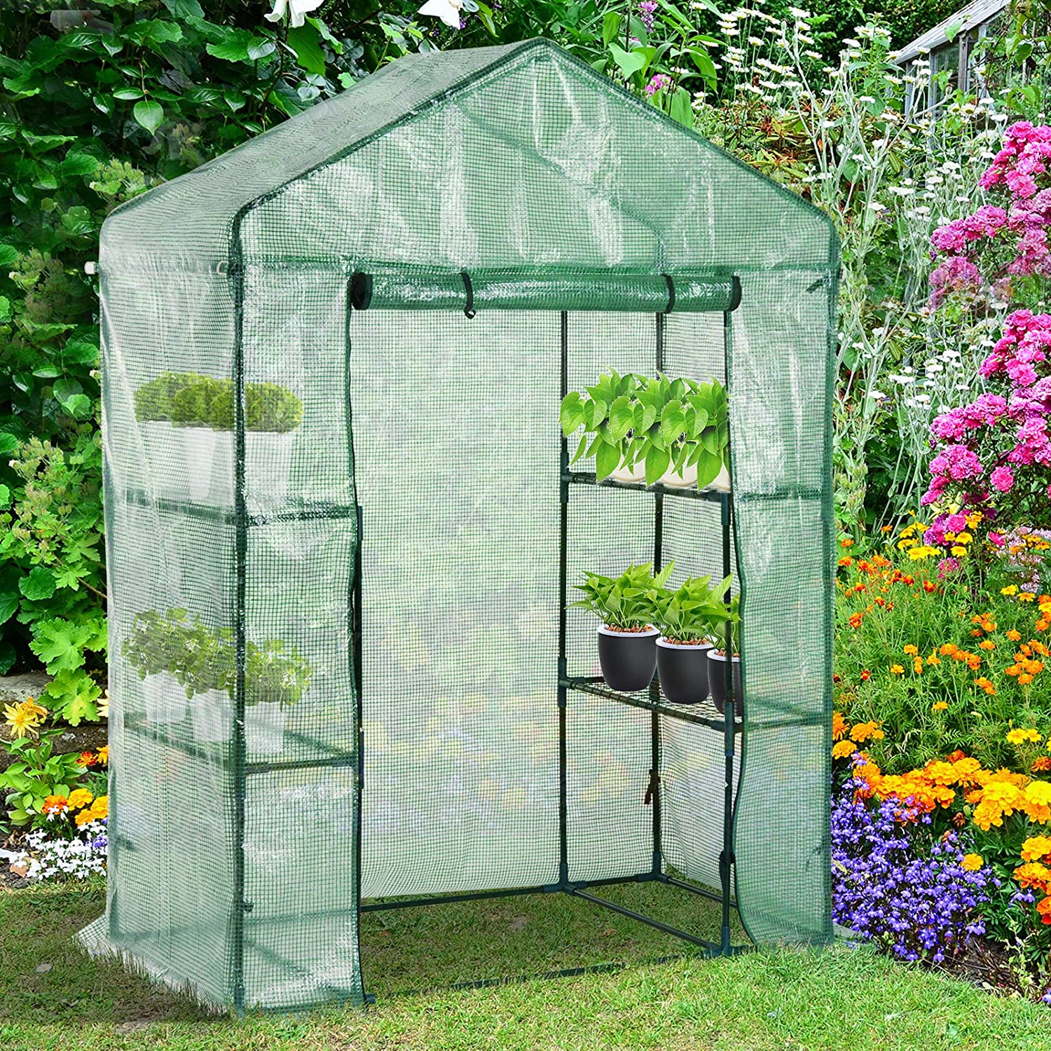 Walk-in roll-up greenhouse with zippered front door
Outdoor greenhouse with wired shelves and green PE cover
Garden greenhouse for patio and balcony setups
Roll-up front entry greenhouse shown outdoors
Compact greenhouse model GC3232 with sturdy shelves
Indoor/outdoor mini greenhouse with UV-resistant cover