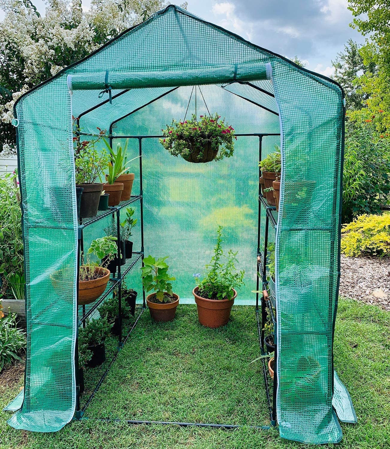 Walk-in roll-up greenhouse with zippered front door
Outdoor greenhouse with wired shelves and green PE cover
Garden greenhouse for patio and balcony setups
Roll-up front entry greenhouse shown outdoors
Compact greenhouse model GC3232 with sturdy shelves
Indoor/outdoor mini greenhouse with UV-resistant cover