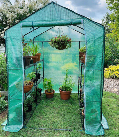 Walk-in roll-up greenhouse with zippered front door
Outdoor greenhouse with wired shelves and green PE cover
Garden greenhouse for patio and balcony setups
Roll-up front entry greenhouse shown outdoors
Compact greenhouse model GC3232 with sturdy shelves
Indoor/outdoor mini greenhouse with UV-resistant cover