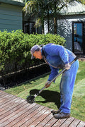 NEW Wheel Sidewalk Lawn Rotary Edger S1196 ��� Adjustable Manual Grass Trimmer Tool - with | Sold by Uncle Wiener's Who