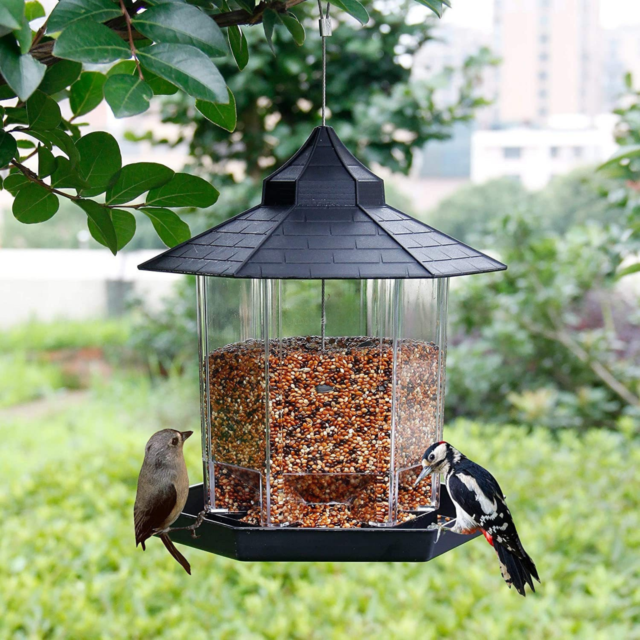 Outdoor Hanging Plastic Bird Feeder Clear Seed Container Weather-Resistant Garden Feeder BF129 - with | Sold by Uncle Wiener's Wholesale