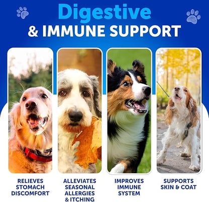 Probiotics for Dogs with Digestive Enzymes – 70 Soft Chews for Gut Health, Immune Support, Itchy Skin & Allergy Relief - Pet products with | Sold by Uncle Wiener's Wholesale