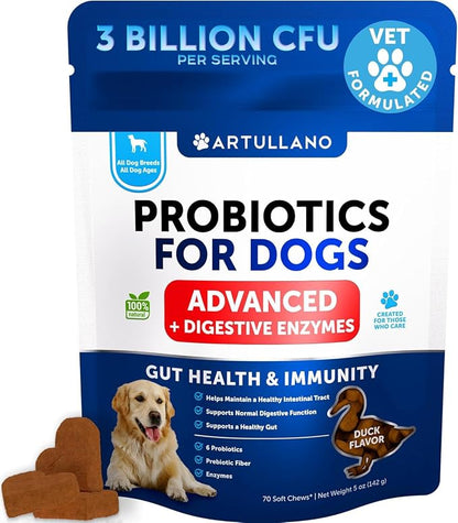 Probiotics for Dogs with Digestive Enzymes – 70 Soft Chews for Gut Health, Immune Support, Itchy Skin & Allergy Relief - Pet products with | Sold by Uncle Wiener's Wholesale
