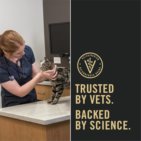 Purina Pro Plan LiveClear Allergen Reducing Dry Kitten Food – Chicken & Rice, 1.45 kg - with | Sold by Uncle Wiener's Wholesale