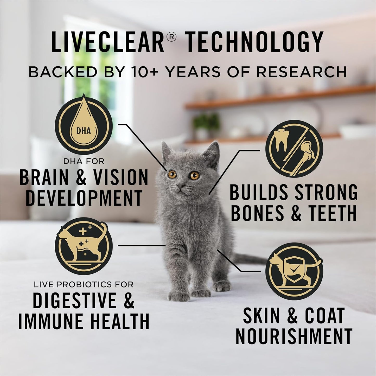 Purina Pro Plan LiveClear Allergen Reducing Dry Kitten Food – Chicken & Rice, 1.45 kg - with | Sold by Uncle Wiener's Wholesale