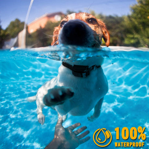 Rechargeable Waterproof Dog Training Collar with Remote – Shock, Vibration & Beep Modes (1000yd Range) - with | Sold by Uncle Wiener's Wholesale