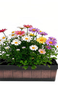 Rectangular Flower Pot – 18" Faux Wood Plastic Planter Box, Durable PP G5781 - with | Sold by Uncle Wiener's Wholesale