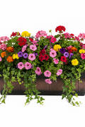 Rectangular Flower Pot – 18" Faux Wood Plastic Planter Box, Durable PP G5781 - with | Sold by Uncle Wiener's Wholesale