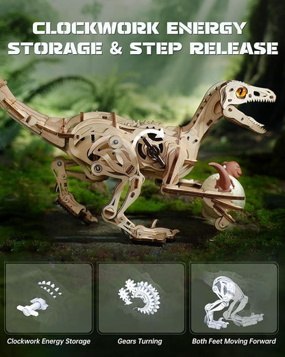 ROBOTIME 3D Wooden Velociraptor Puzzle – Walking Mechanical Dinosaur Model Building Kit with Spring-Powered Gears, STEM Craft Toy - Toys with | Sold by Uncle Wiener's Wholesale