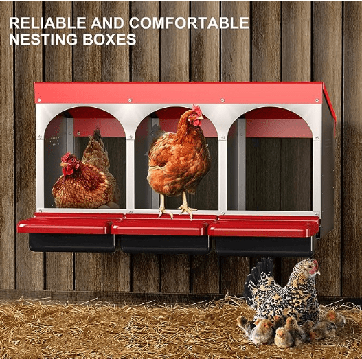 Roll - Out Chicken Nesting Box for Hens – Metal Laying Nest with Removable Trays (3 or 6 Compartments) - with 3 - Compartment Roll Out Chicken | Sold by Uncle Wiener's Wholesale
