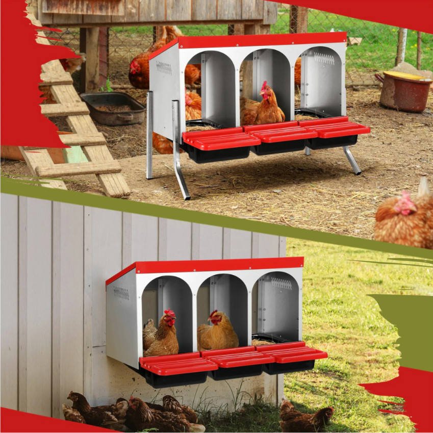 Roll - Out Chicken Nesting Box for Hens – Metal Laying Nest with Removable Trays (3 or 6 Compartments) - with 3 - Compartment Roll Out Chicken | Sold by Uncle Wiener's Wholesale