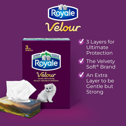 Royale Velour 3-Ply Facial Tissue – 6 Tissue Boxes, 82 Sheets per Box, Ultra Soft & Strong - Home products with | Sold by Uncle Wiener's Wholesale