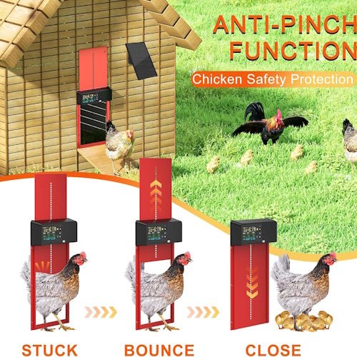 Solar Powered Automatic Chicken Coop Door with Remote Control, LCD Display, Timer, Light Sensor & Anti-Pinch Aluminum Door COOPX7 - with | Sold by Uncle Wiener's Wholesale