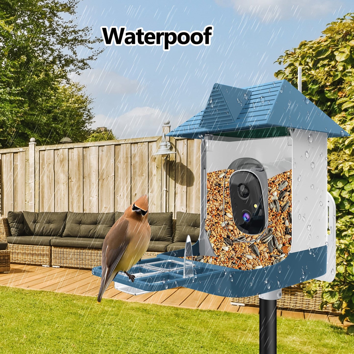 Solar WiFi Smart Bird Feeder Camera with 2MP HD, Night Vision & 2 - Way Audio – Dark Blue – BFBF11 - with | Sold by Uncle Wiener's Wholesale