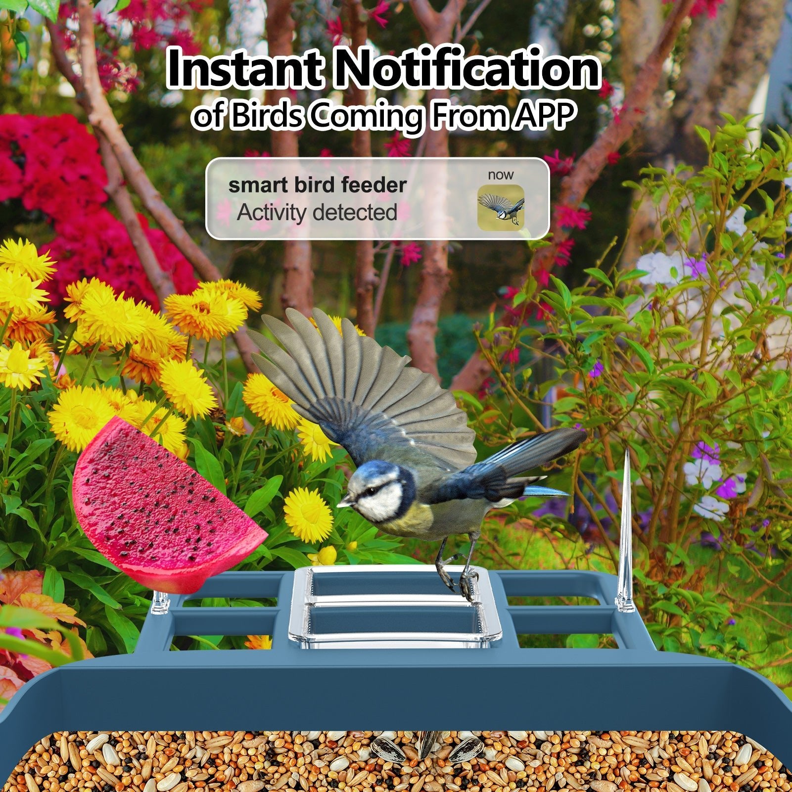 Solar WiFi Smart Bird Feeder Camera with 2MP HD, Night Vision & 2 - Way Audio – Dark Blue – BFBF11 - with | Sold by Uncle Wiener's Wholesale