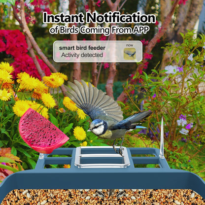 Solar WiFi Smart Bird Feeder Camera with 2MP HD, Night Vision & 2 - Way Audio – Dark Blue – BFBF11 - with | Sold by Uncle Wiener's Wholesale