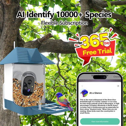 Solar WiFi Smart Bird Feeder Camera with 2MP HD, Night Vision & 2 - Way Audio – Dark Blue – BFBF11 - with | Sold by Uncle Wiener's Wholesale