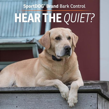 SportDOG NoBark SBC-R Rechargeable Waterproof Bark Control Collar – Programmable Dog Training Collar - Pet products with | Sold by Uncle Wiener's Wholesale