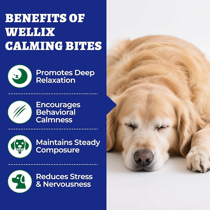 Wellix Calming Chews for Dogs – 260 Chicken-Flavour Soft Bites with Melatonin, L-Theanine, Chamomile & Valerian Root - Pet products with | Sold by Uncle Wiener's Wholesale