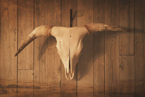 Western Skull & Horn Wall Decor – Bison, Cattle & Yak