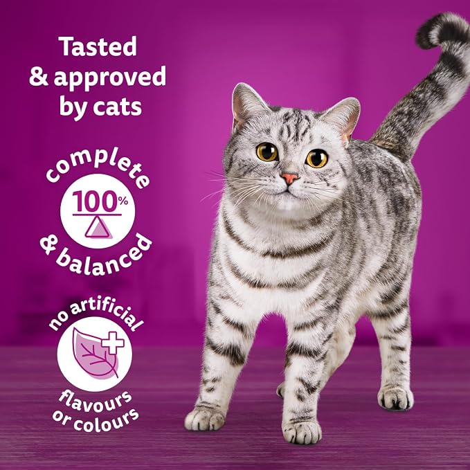 WHISKAS Meaty Selections Adult Dry Cat Food with Real Chicken – 2 kg Bag - Pet products with | Sold by Uncle Wiener's Wholesale