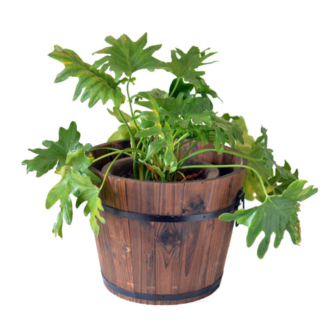 Wood Barrel Planter 16" x 13" – Rustic Wooden Flower Pot for Garden & Patio WPG16 - with | Sold by Uncle Wiener's Wholesale
