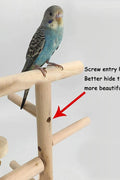 Wooden Bird Playground & Perch Stand – Natural Wood Training & Exercise Gym for Parakeets, Lovebirds & Cockatiels | BG7283 - with | Sold by Uncle Wiener's Wholesale